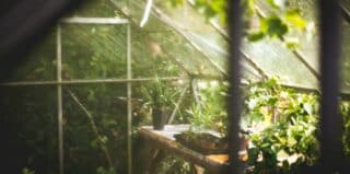 serre bioclimatique